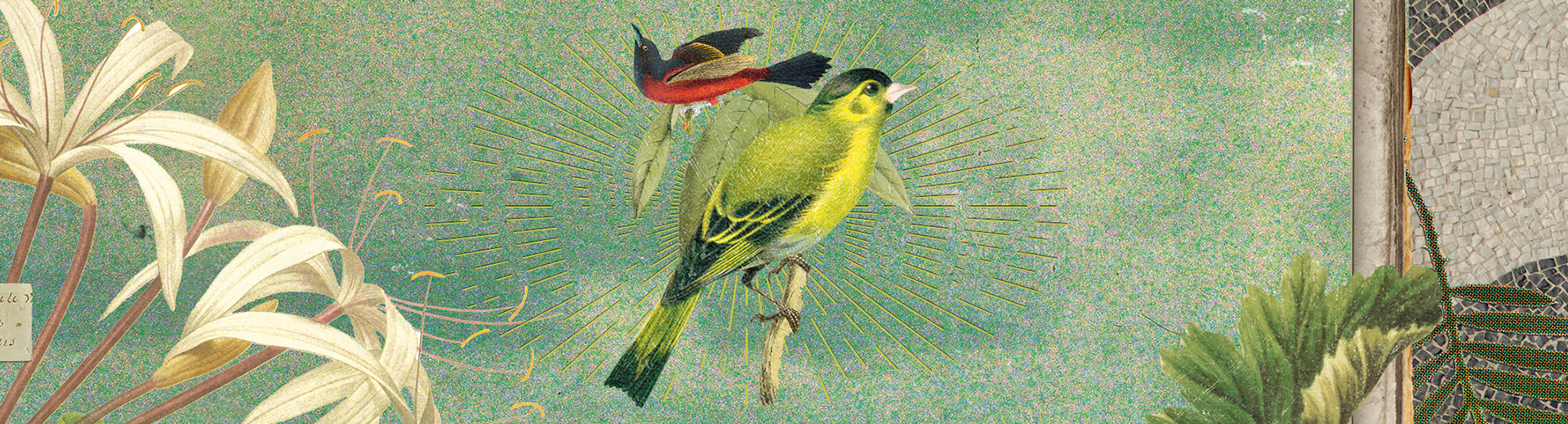 pedroricci_emili_cd_header